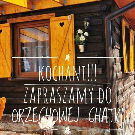 ŻywiecSielanowek - Orzechowa Chatka Z Sauna Wanna Termalna Jacuzziアパートメント エクステリア 写真